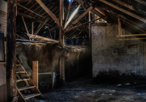 attic-conversions-dublin-wicklow-planning-survey-budget Sunlit abandoned attic showcasing rustic wooden beams and dust, creating an eerie atmosphere